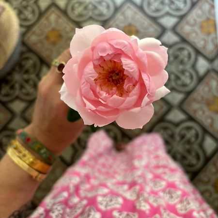 Le Logis Blanc Bed&Breakfast Coursan エクステリア 写真