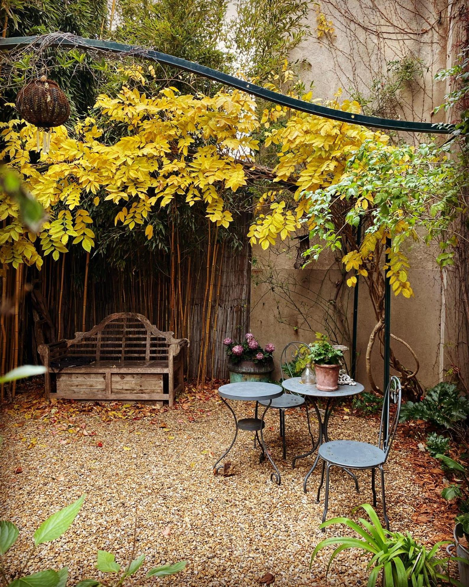 Le Logis Blanc Bed&Breakfast Coursan エクステリア 写真