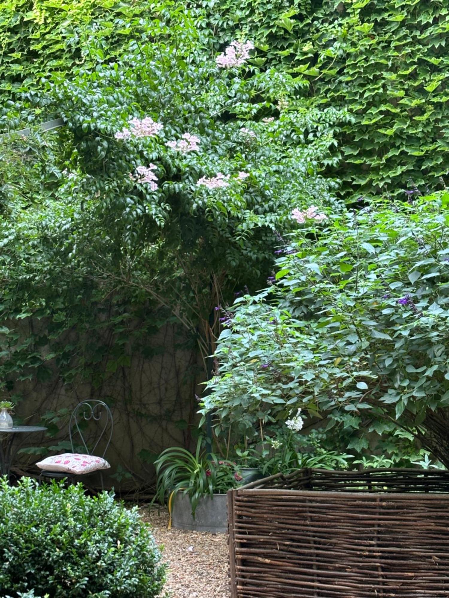 Le Logis Blanc Bed&Breakfast Coursan エクステリア 写真