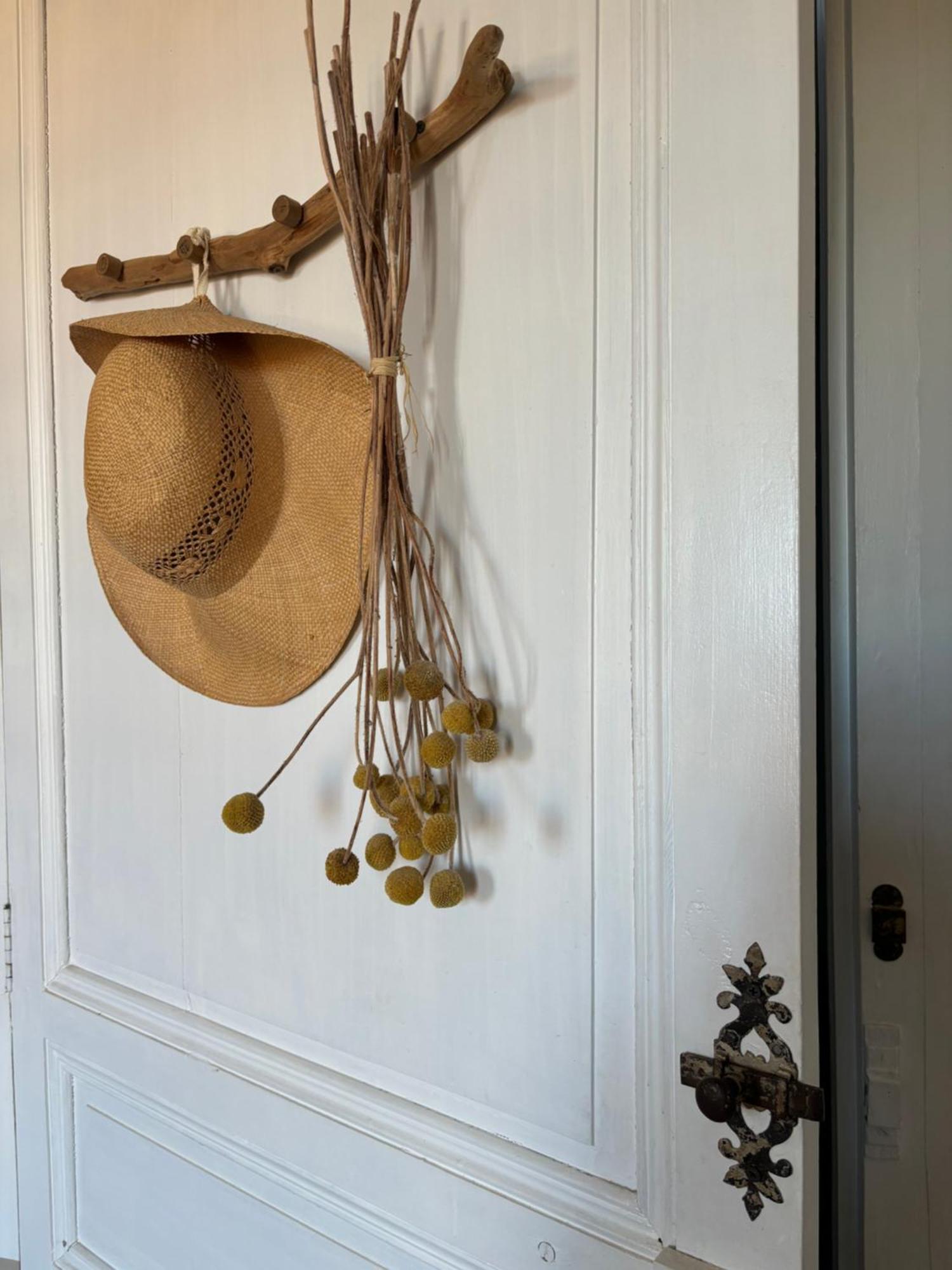 Le Logis Blanc Bed&Breakfast Coursan エクステリア 写真