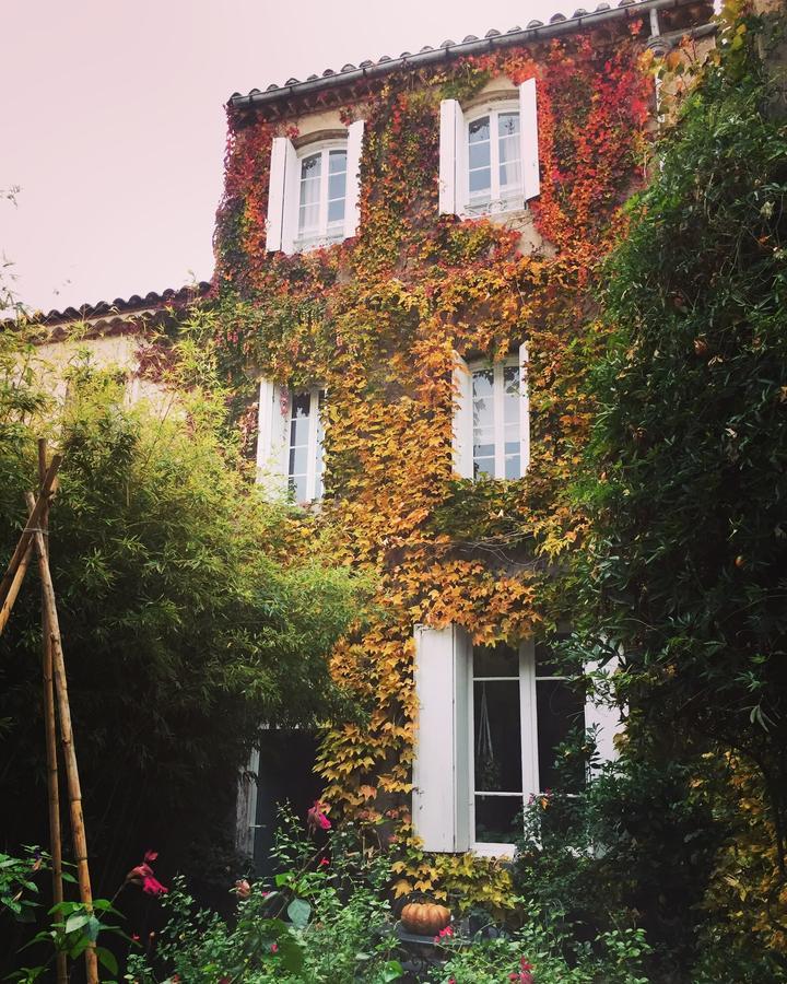 Le Logis Blanc Bed&Breakfast Coursan エクステリア 写真