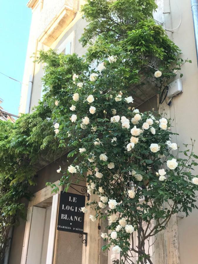 Le Logis Blanc Bed&Breakfast Coursan エクステリア 写真