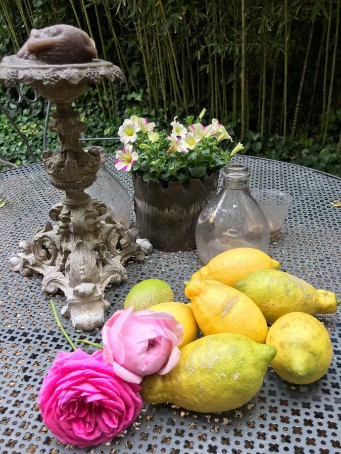 Le Logis Blanc Bed&Breakfast Coursan エクステリア 写真